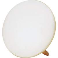 Lampe &agrave; luminoth&eacute;rapie pour le traitement de la d&eacute;pression saisonni&egrave;re Cam Industrial