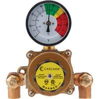 Mixing Valve for Exposed Assembly of Eye/Facewash, 9 gpm Cam Industrial