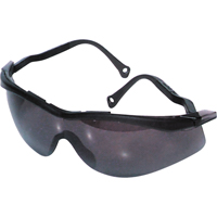 Lunettes de s&eacute;curit&eacute; North The Edge, Lentille Fum&eacute;e, Antibu&eacute;e/Anti-&eacute;gratignures, R&eacute;pond ou surpasse la norme CSA Z94.3 Cam Industrial