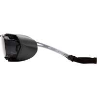 Cappture Plus Safety Goggles, Grey Lens, Anti-Fog, Closed Vent Cam Industrial
