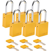 Cadenas de s&eacute;curit&eacute;, Cadenas de s&eacute;curit&eacute;, Cl&eacute;s diff&eacute;rentes, Aluminium, Largeur de 1-1/2" Cam Industrial