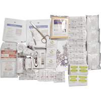 Shield Basic First Aid Kit Refill, Meets CSA Z1220-17 Type 2 Low-Risk Environment, Small (2-25 Workers) Cam Industrial