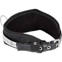 WB-6010-S Safety Restraint 1 D-Ring Belt with Padded Lumbar Support - Small Cam Industrial