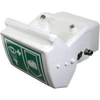Eye/Face Wash, Wall-Mount Installation, Plastic Bowl Cam Industrial