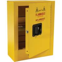 Mini Flammable Safety Cabinet, 2 Gal., 1 Door, 17" W x 22" H x 8" D Cam Industrial