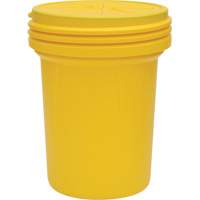 Lab Pack Plastic Barrel Drum with Screw-On Lid, 30 US gal., Mobile/Stationary Cam Industrial