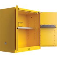 Utili-Guard+ Flammable Safety Cabinet, 30 gal., 1 Door, 43" W x 44" H x 22" D Cam Industrial