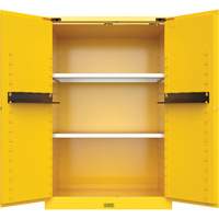Utili-Guard+ Flammable Safety Cabinet, 45 gal., 2 Door, 43" W x 65" H x 22" D Cam Industrial