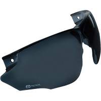 Replacement Lens