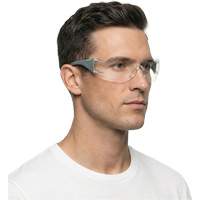 Adapt Lite Grey/Green Safety Glasses, Clear Lens, Anti-Fog/Anti-Scratch, ANSI Z87+/Meets/Exceeds CSA Z94.3 Cam Industrial