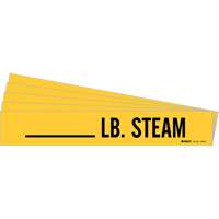 Marqueurs de tuyau LB. Steam, Autocollant, 2-1/4" h x 2-3/4" la, Noir sur jaune Cam Industrial
