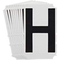 Quick-Align<sup>®</sup>Individual Gothic Number and Letter Labels, H, 4" H, Black SZ996 | Cam Industrial