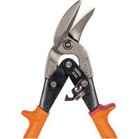 Compound Action Snips Cam Industrial