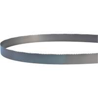 Saw Blades