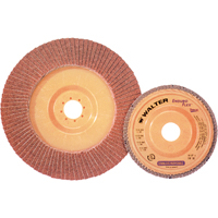 Disque &agrave; lamelles Stainless Enduro-Flex, 4-1/2" x 7/8", Type 27, Grain 40, Alumine de zirconium Cam Industrial
