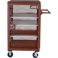 Mobile Mesh Cabinet, Steel, 22 Cubic Feet, Red Cam Industrial