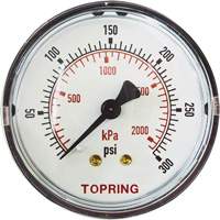 Replacement Pressure Gauge, 2" , 0 - 175 psi, Back Mount, Analogue Cam Industrial