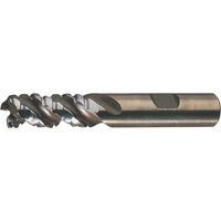 PM Plus Single End Roughers, Powder Metal, 3-Flute, Centre Cutting, Square End, 3/4" Dia. Cam Industrial