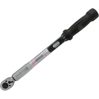 Cl&eacute; dynamom&eacute;trique &agrave; t&ecirc;te fine pour usage intensif, &agrave; cliquer, Entraînement 3/8" carr&eacute;, 10 - 80 lb-pi Cam Industrial