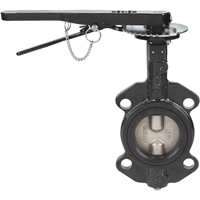 Robinets &agrave; papillon - s&eacute;rie BFV, Tuyau de 2", 225 PSI Cam Industrial
