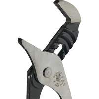 Pinces multiprise, 10" Cam Industrial