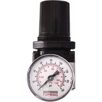 Regulators, 1/4" NPT, 150 PSI Max. PSI, Modular Cam Industrial