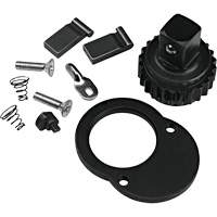 Ratchet Repair Kit Cam Industrial