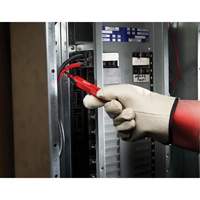 Voltage Detector, 50 - 1000 V, Sound Alert Cam Industrial