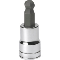 SAE Bit Socket, Hex Ball, 3/8" x 1.968" L, 3/8" Drive Cam Industrial