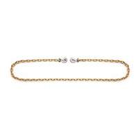 Chaîne d'attache avec crochets &agrave; manille  Cam Industrial