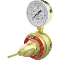 Medium-to-Heavy-Duty Pipeline Regulator, Propane, 1/4" NPT(F) Port Inlet Cam Industrial