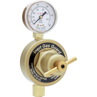 Inert Gas Guard Regulators-447 Series Pipeline Cam Industrial