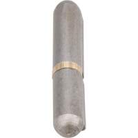 Weld-On Hinge, 0.315" Dia. x 1.575" L, Mild Steel w/Fixed Steel Pin TTV433 | Cam Industrial