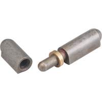 Weld-On Hinge, 0.315" Dia. x 1.969" L, Mild Steel w/Fixed Steel Pin TTV434 | Cam Industrial