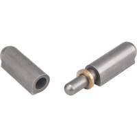 Weld-On Hinge, 0.512" Dia. x 3.15" L, Mild Steel w/Fixed Steel Pin TTV436 | Cam Industrial