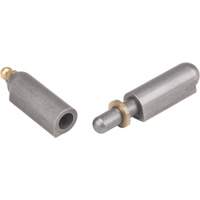 Weld-On Hinge, 0.512" Dia. x 3.15" L, Mild Steel w/Fixed Steel Pin TTV437 | Cam Industrial