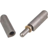 Weld-On Hinge, 0.63" Dia. x 4.724" L, Mild Steel w/Fixed Steel Pin TTV440 | Cam Industrial