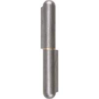 Weld-On Hinge, 0.787" Dia. x 5.906" L, Mild Steel w/Fixed Steel Pin TTV442 | Cam Industrial