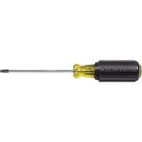 Tournevis Klein a/manche caoutchout&eacute;-Tournevis Torx &agrave; tige ronde Cam Industrial