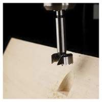 Forstner Wood Bit, 3/4", 3/8" Shank, 3-1/2" Length Cam Industrial