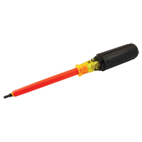 Square Screwdriver Cam Industrial