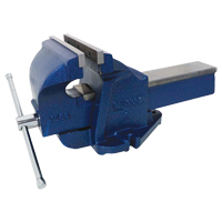 Ductile Iron Mechanics Bench Vise, 8" Jaw Width, 4" Throat Depth Cam Industrial