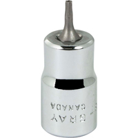 Douille &agrave; embout, Torx, T8 x 2-1/8" lo, Prise 3/8" Cam Industrial