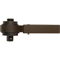 Torque Multiplier, 1/2" Input, 1" Output, 18.5:1 Torque Ratio Cam Industrial