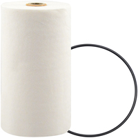 P7247 Filtre pour liquide de refroidissement &agrave; visser avec additif BTE Cam Industrial