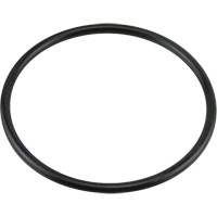 G438 Joint torique en Buna-N Cam Industrial