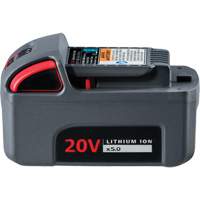 IQV20 High Capacity Battery, Lithium-Ion, 20 V, 5 Ah Cam Industrial
