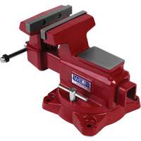 &eacute;tau d'&eacute;tabli utilitaire HD, Largeur des m&acirc;choires 6-1/2", Profondeur de la gorge 4-1/4" Cam Industrial