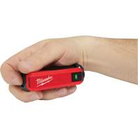 Alimentation et chargeur USB Redlithium, 4 V, Lithium-ion Cam Industrial