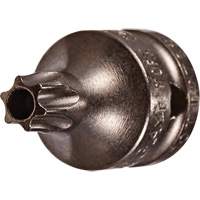 Embout &agrave; ins&eacute;rer, Torx inviolable, 8 x 3/4" lo, Prise 1/4" Cam Industrial